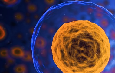 Ninegame-九游体育(中国)官方网站|jiuyou.com